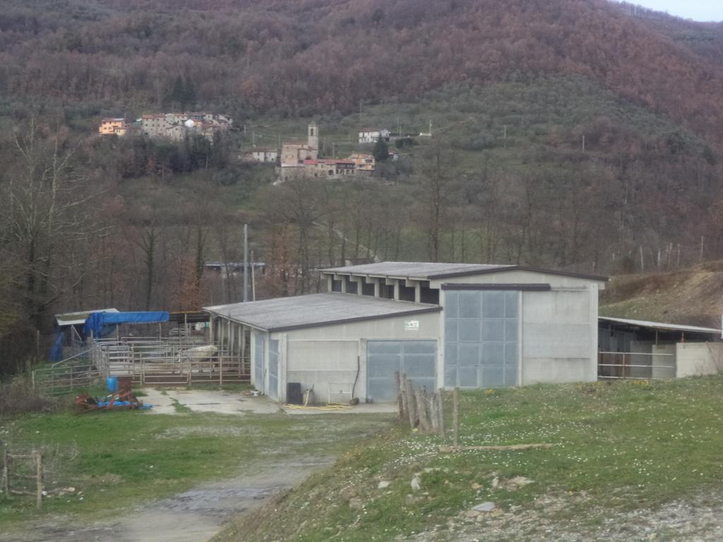 Le Chianine Dei Tognoli Hotel Gragnola Exterior foto