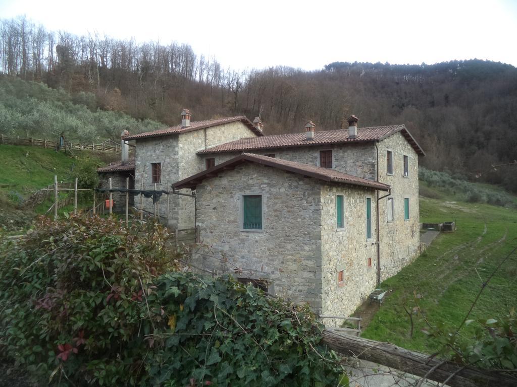 Le Chianine Dei Tognoli Hotel Gragnola Exterior foto